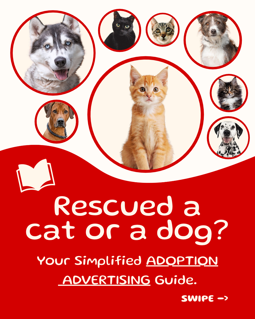 Adoption advertising guide Instagram post, cover - Rescued a cat or a dog? Your simplified adoption advertising guide