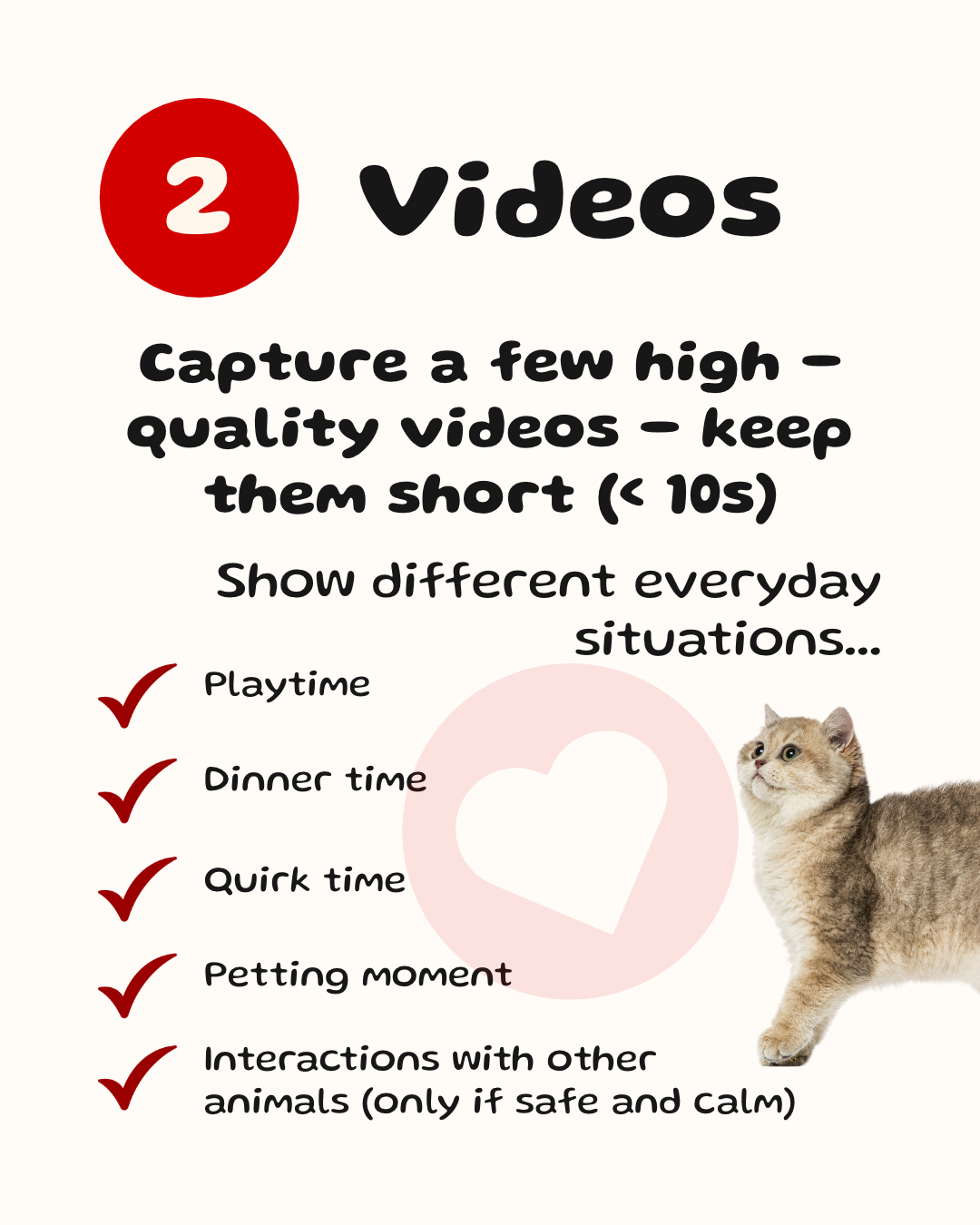 Adoption advertising guide Instagram post, step 2 - Videos