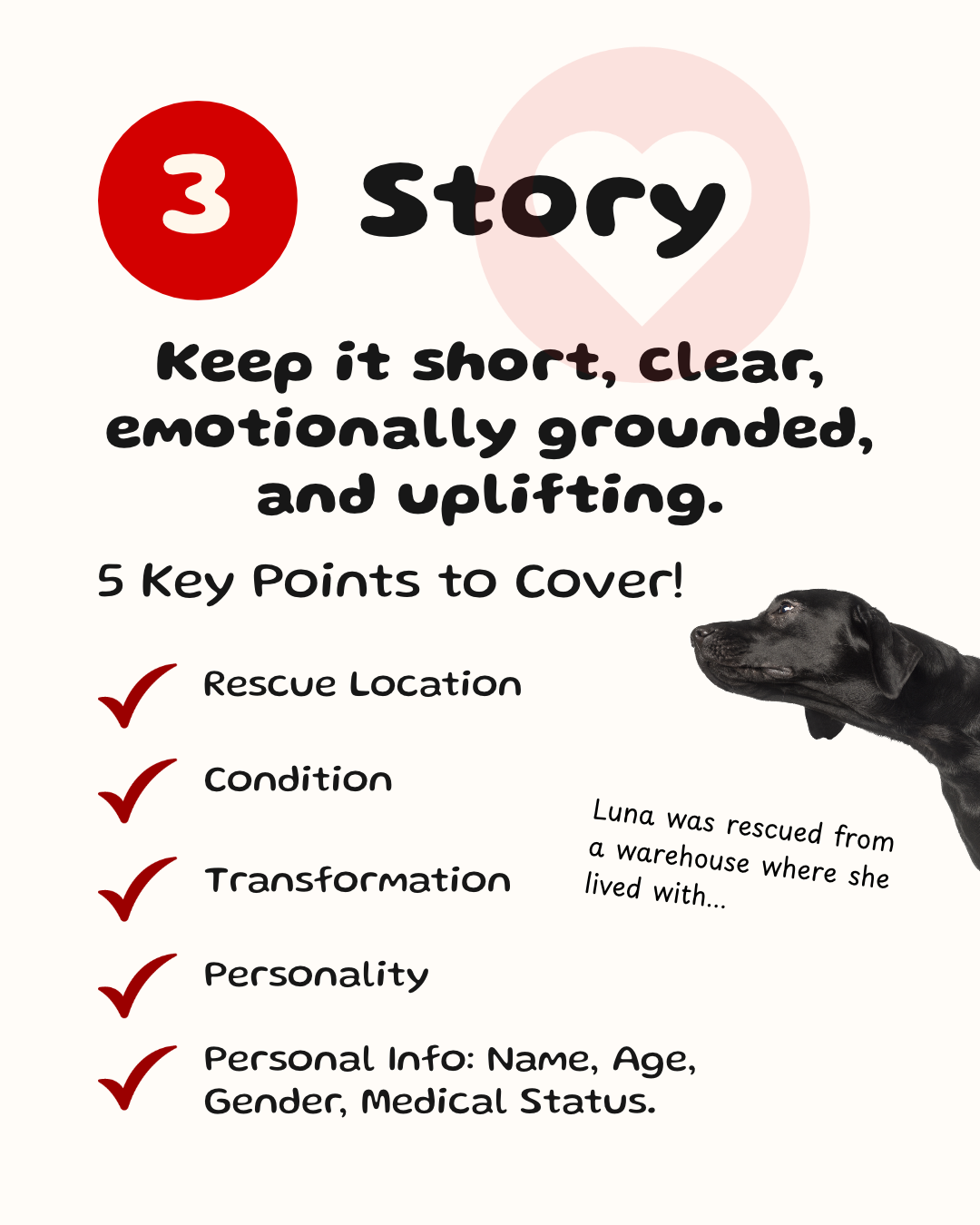 Adoption advertising guide Instagram post, step 3 - Story